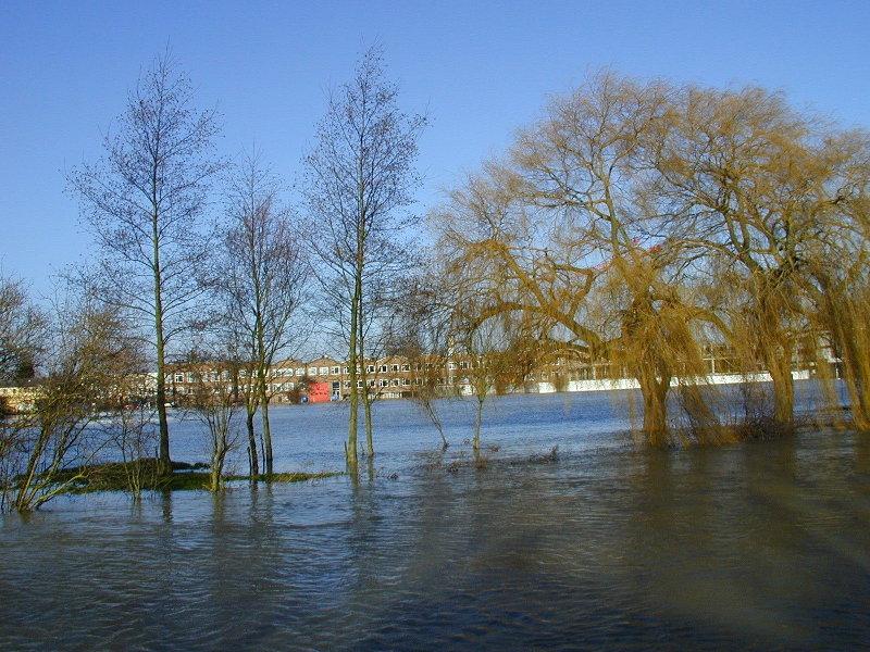 Simoco playing fields, with usual bank in foreground, Cambridge, England
