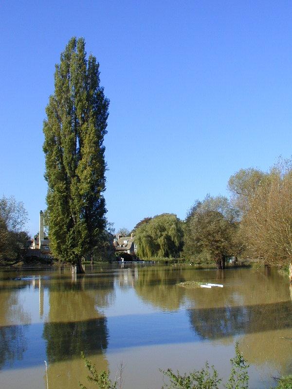 Sheep's Green north of Fen Causeway, trees in water and submerged pedestrian bridge, Cambridge, England