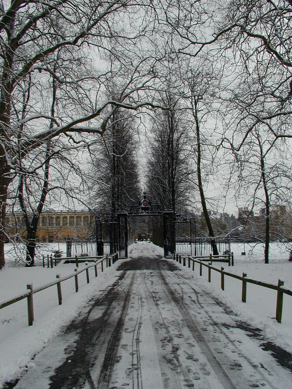 The Avenue, Trinity College, Cambridge, England