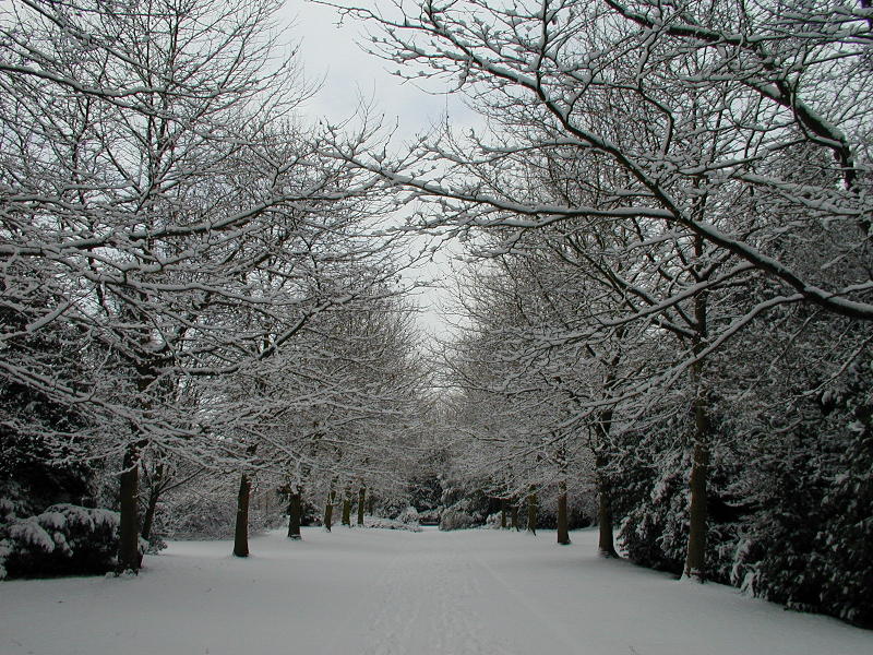 path, Fellow's Garden, Trinity College, Cambridge, England