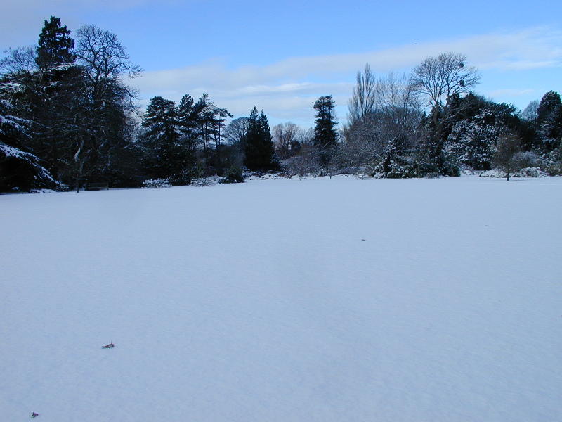 main lawn, Botanic Garden, Cambridge, England