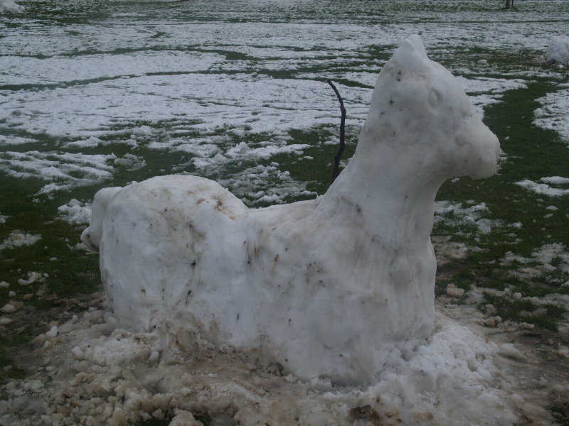 Snow horse, Jesus Green, Cambridge, England