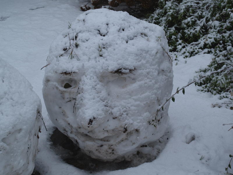 Snow face, Roseford Road, Cambridge, England