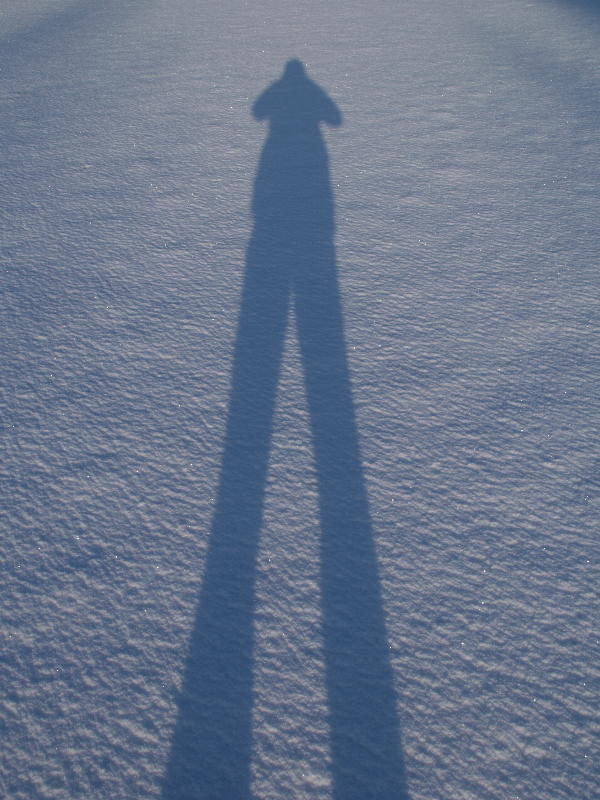 shadow on snow, The Backs, Trinity College, Cambridge, England