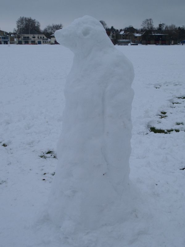 snow penguin, Midsummer Common, Cambridge, England