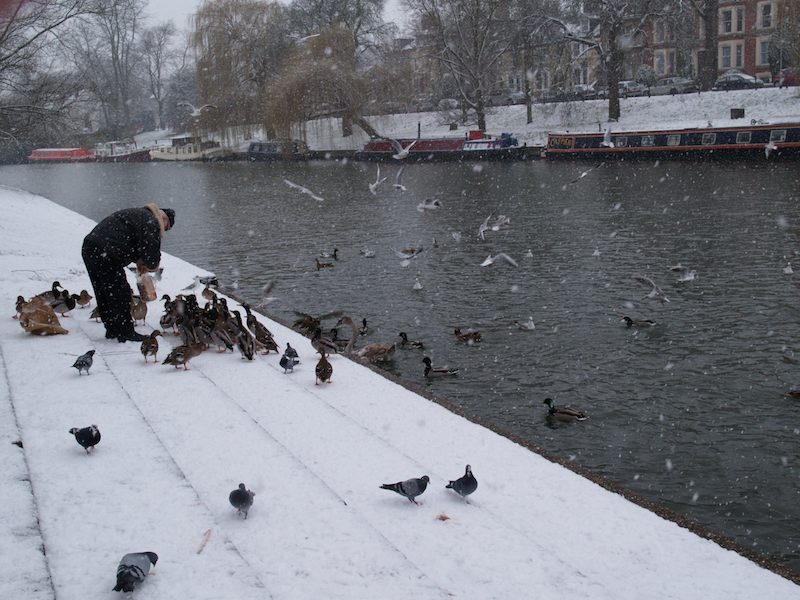 feeding the ducks in the snow, Cambridge, England