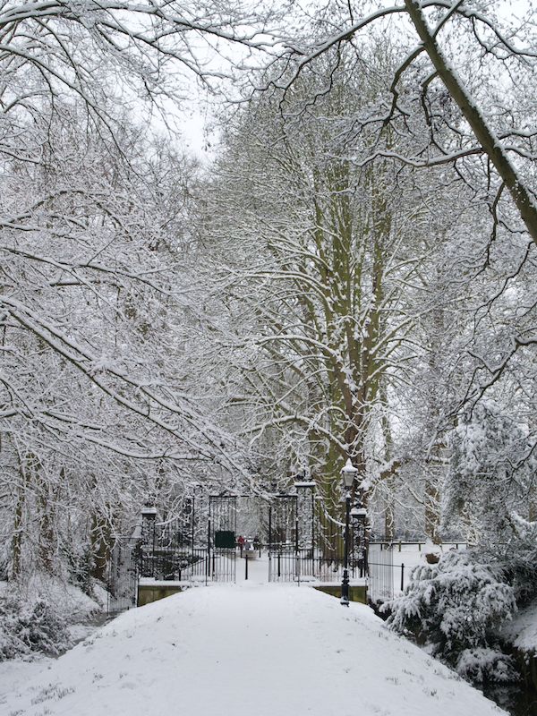 Backs path, St John's College, view towards Trinity College, Cambridge, England
