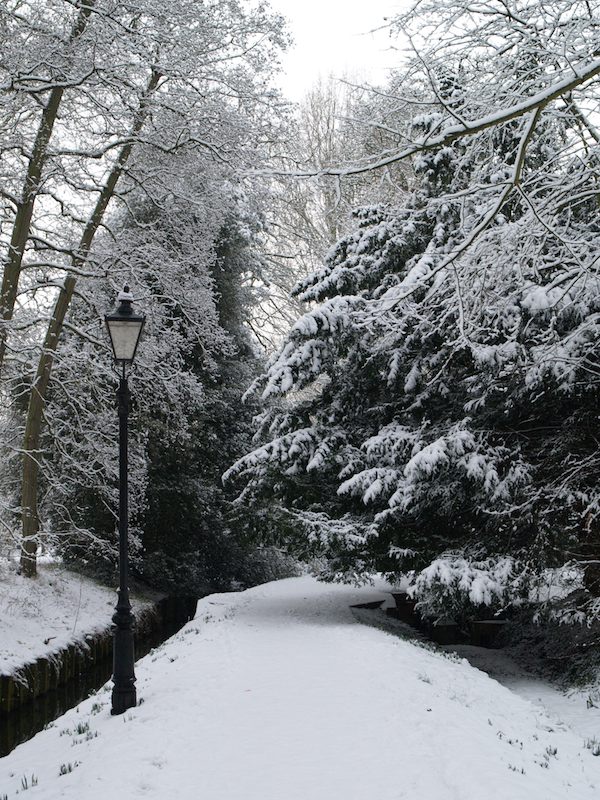 Backs path, St John's College, Cambridge, England