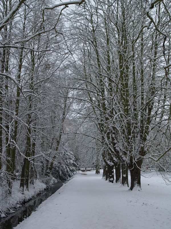 Backs path, Trinity College, Cambridge, England