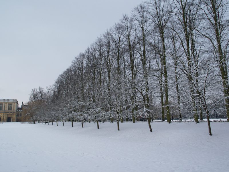 The Avenue, Trinity College, Cambridge, England