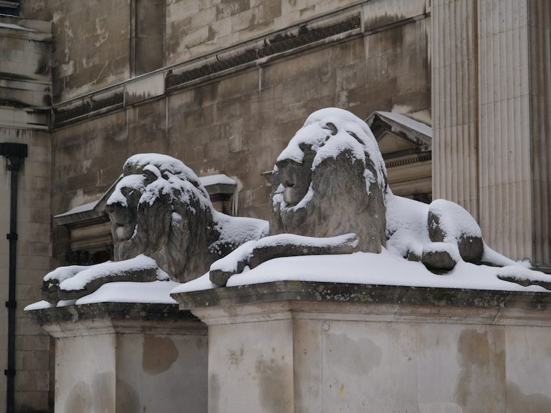 lions, Fitzwilliam Museum, Cambridge, England