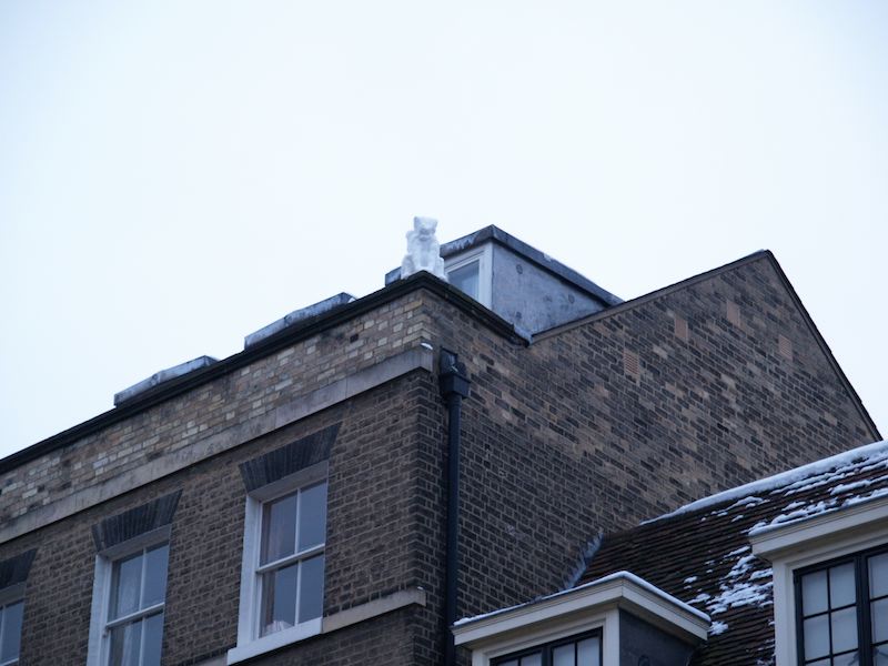 snow cat gargoyle, St Catharine's College, Cambridge, England