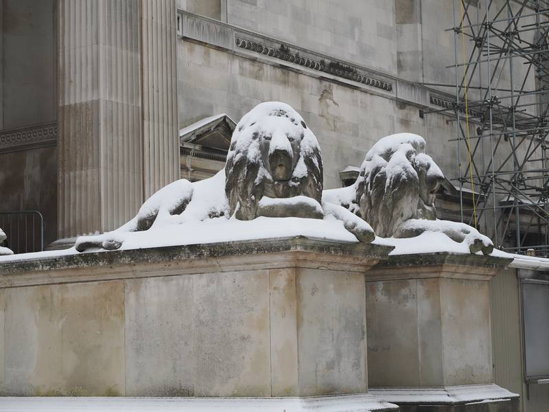 lions covered in snow, Fitzwilliam Museum, Cambridge, England