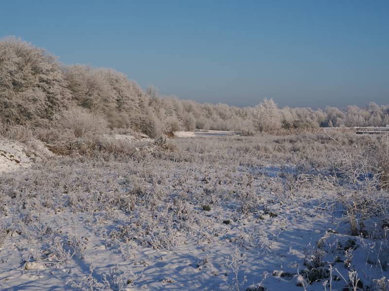 adjacent frozen field, Cambridgeshire Guided Busway, Cambridge, England