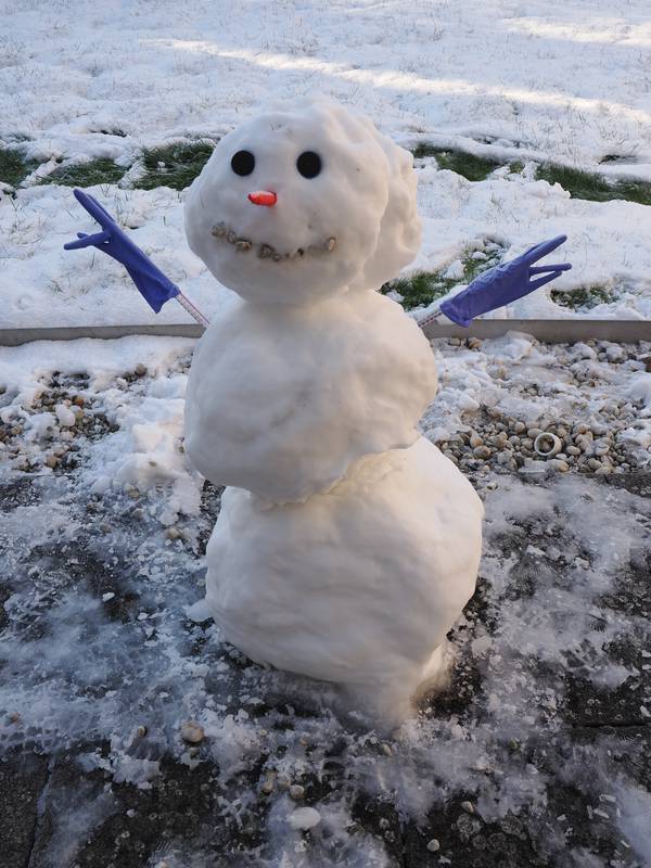 snowman, Department of Biochemistry, Cambridge, England