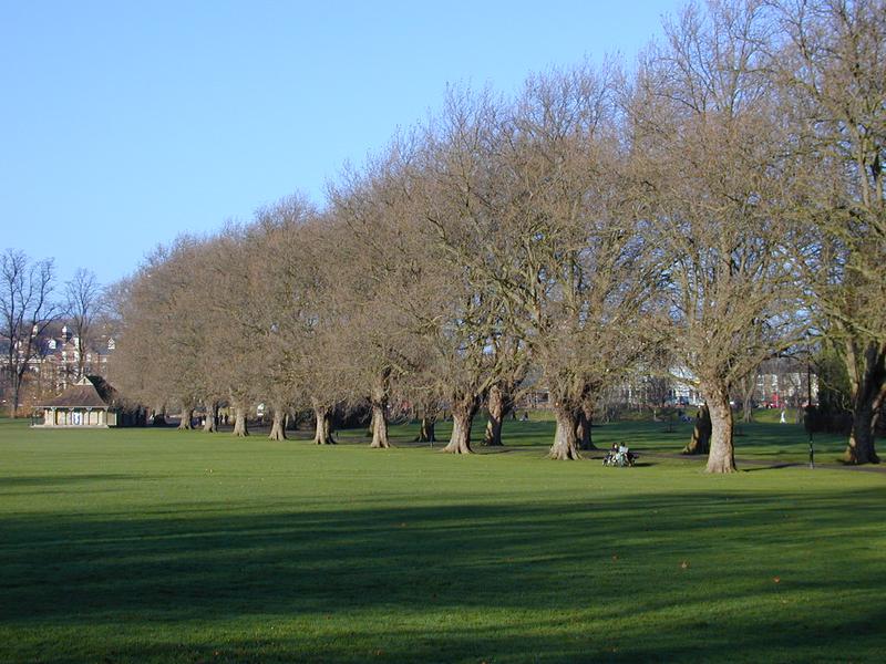 Jesus Green