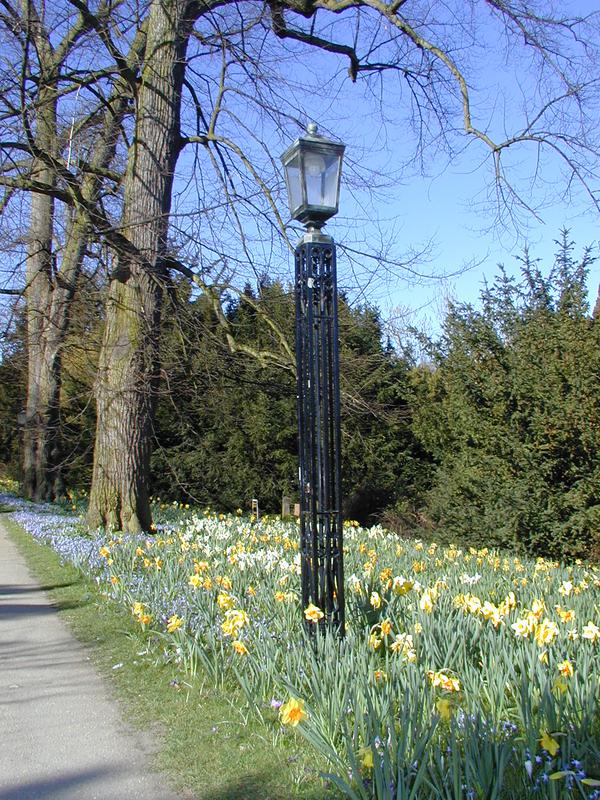 Clare College: The Backs