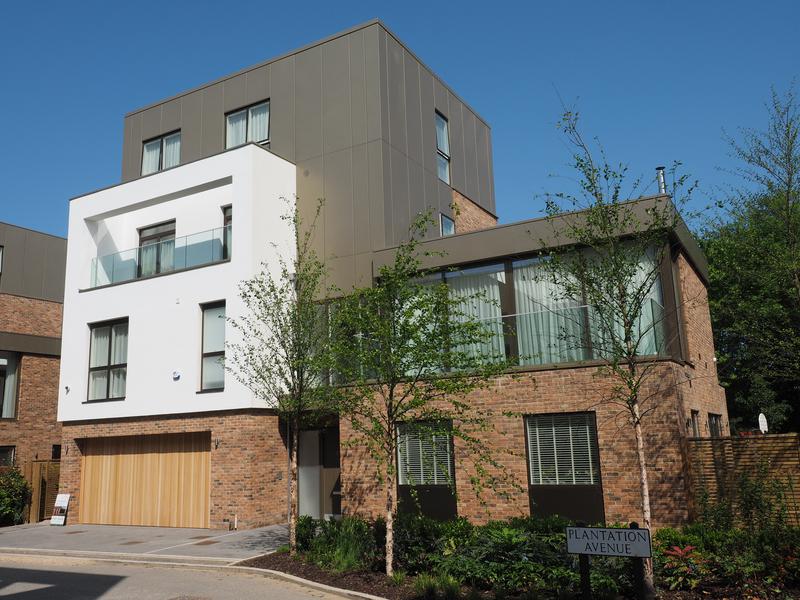 Plantation Avenue: 8 (TateHindle)