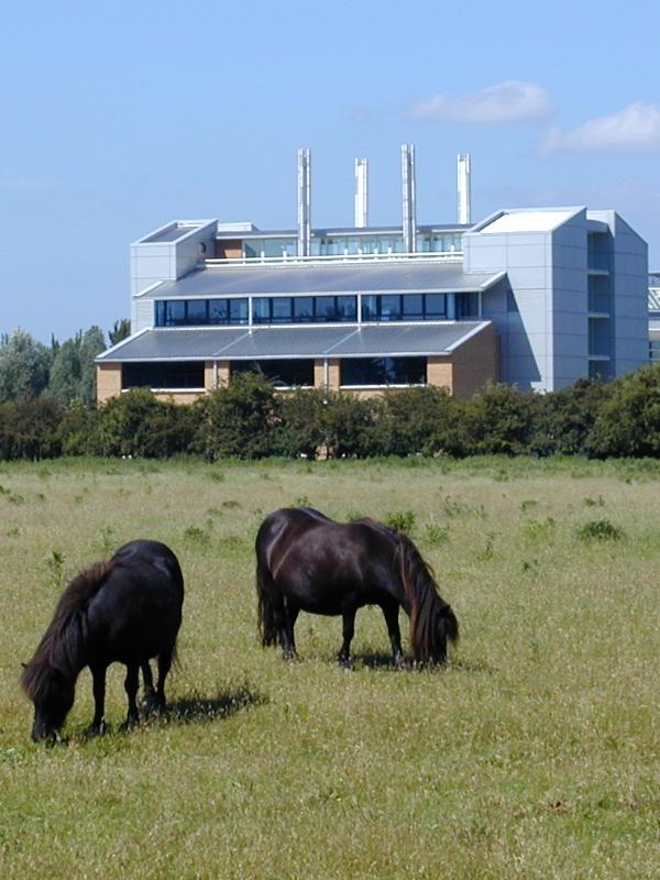 Cambridge, England: Cowley Road: horses and hi-tech