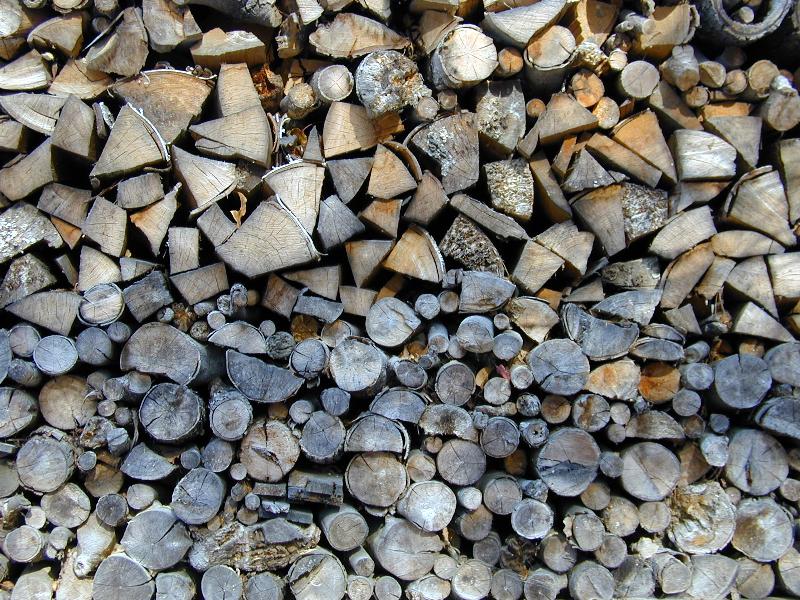 Northampton, Massachusetts (MA): Jackson Street: wood pile