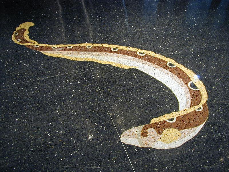 Boston, Massachusetts (MA): Logan Airport, Terminal E walkway: eel ('Atlantic Journey' floor, 1998, by Jane Goldman)