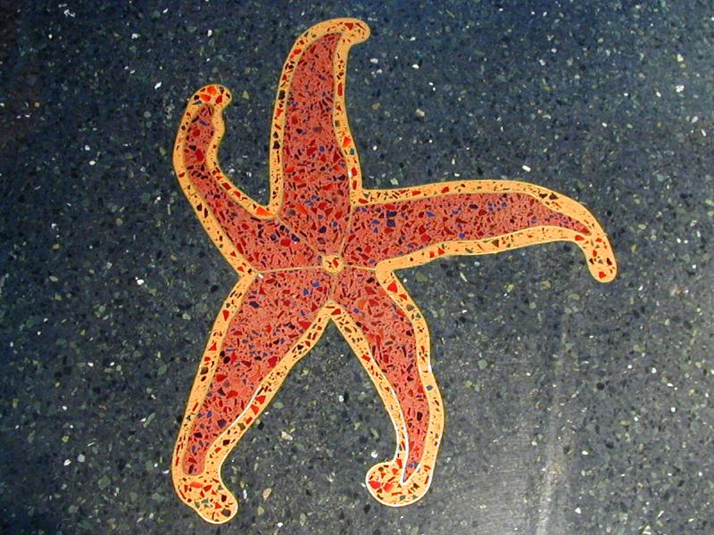 Boston, Massachusetts (MA): Logan Airport, Terminal E walkway: starfish ('Atlantic Journey' floor, 1998, by Jane Goldman)