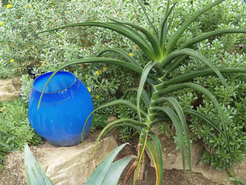 London, England: Kew Gardens: blue 'Basket' (glass artist Dale Chihuly)