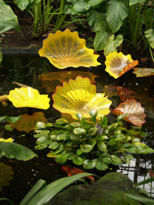 London, England: Kew Gardens: yellow 'water lilies' (glass artist Dale Chihuly)