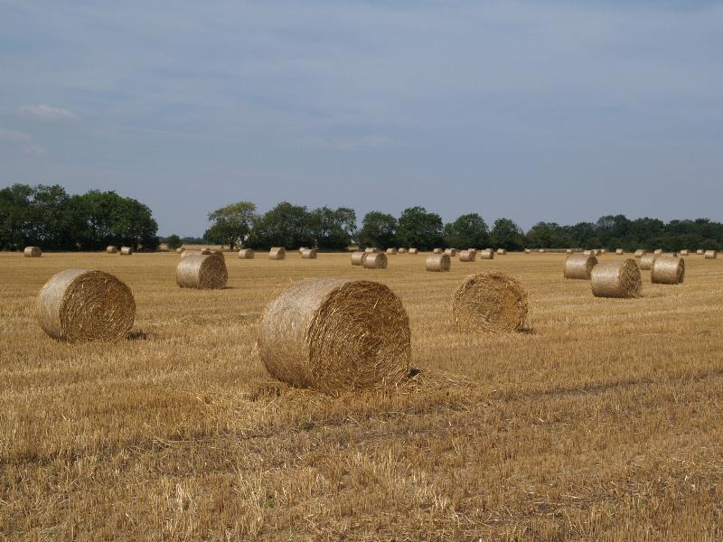 Landbeach, England: rolled straw bales in field