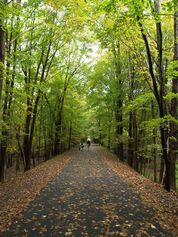 Florence, Massachusetts (MA): bike path, late summer (originally the Williamsburg Branch of the New Haven and Northampton Railroad, built in 1868; converted to Francis P. Ryan bikeway in 1983)