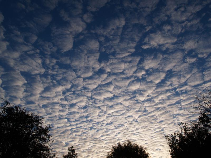 Cambridge, England: Roseford Road: early morning clouds