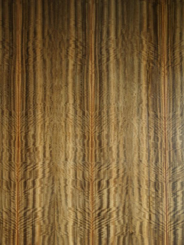 Bexhill-on-Sea, England: De La Warr Pavilion: auditorium (Australian) walnut veneer wall (1935, Erich Mendelsohn and Serge Chermayeff; restored 2005, John McAslan and Partners)
