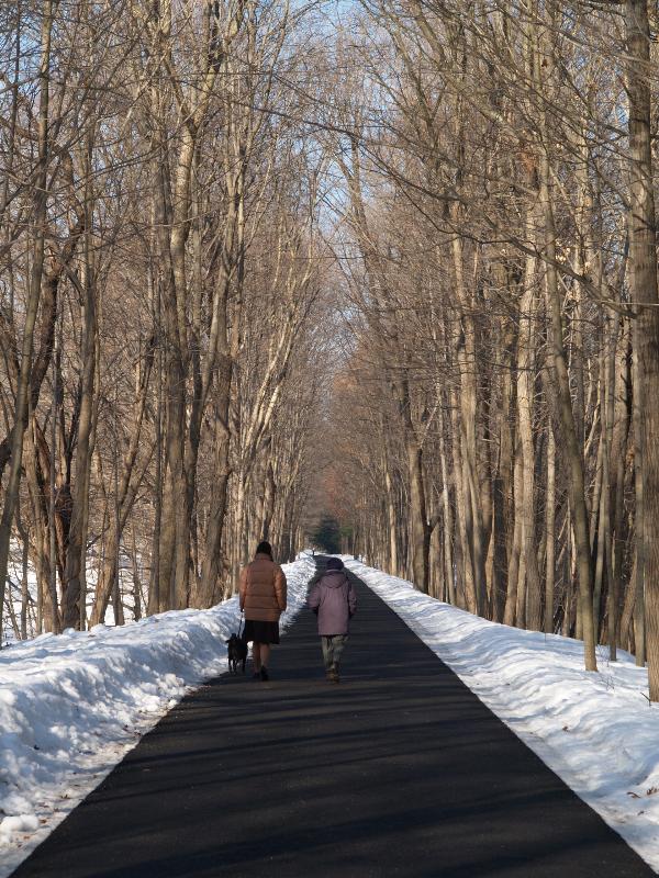 Florence, Massachusetts (MA): bike path, winter (originally the Williamsburg Branch of the New Haven and Northampton Railroad, built in 1868; converted to Francis P. Ryan bikeway in 1983)