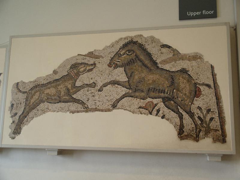 London, England: British Museum: boar confronting a hunting dog (5th or 6th c AD, from Carthage)