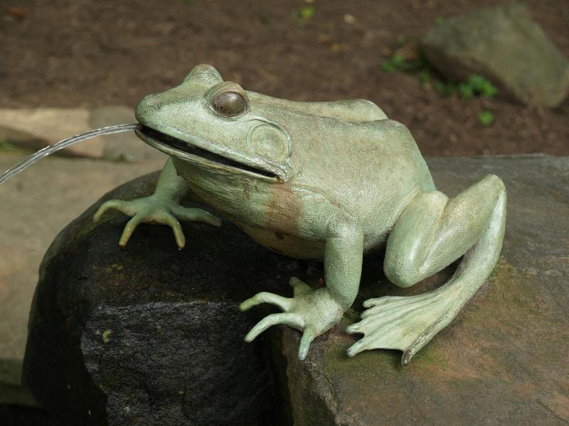 Winterthur, Delaware (DE): Winterthur estate: frog fountain ('Water's Edge', 1997, Andre Harvey) (in Enchanted Woods)