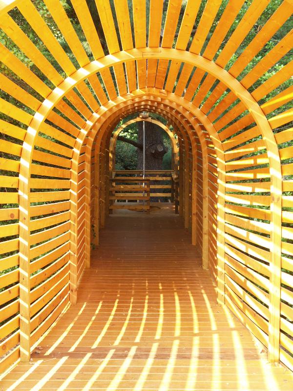 Media, Pennsylvania (PA): Tyler Aboretum: 'Arboreal Adventum' (2008, designer Buchart-Horn/BASCO Associates, builders Pocopson Industries) (part of 'Totally Terrific Treehouses')