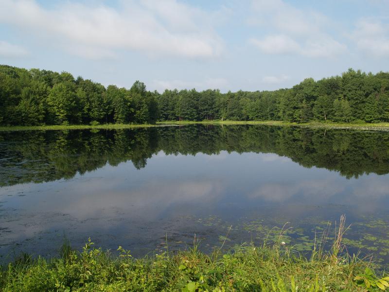Northampton, Massachusetts (MA): Fitzgerald Lake Conservation Area: Fitzgerald Lake