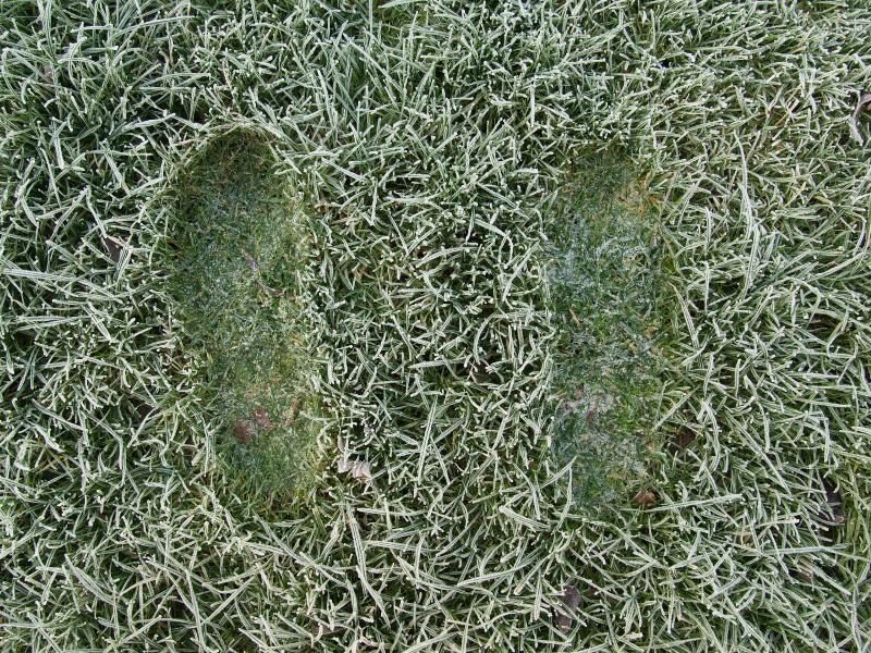 Cambridge, England: Roseford Road: footprints in frosted grass