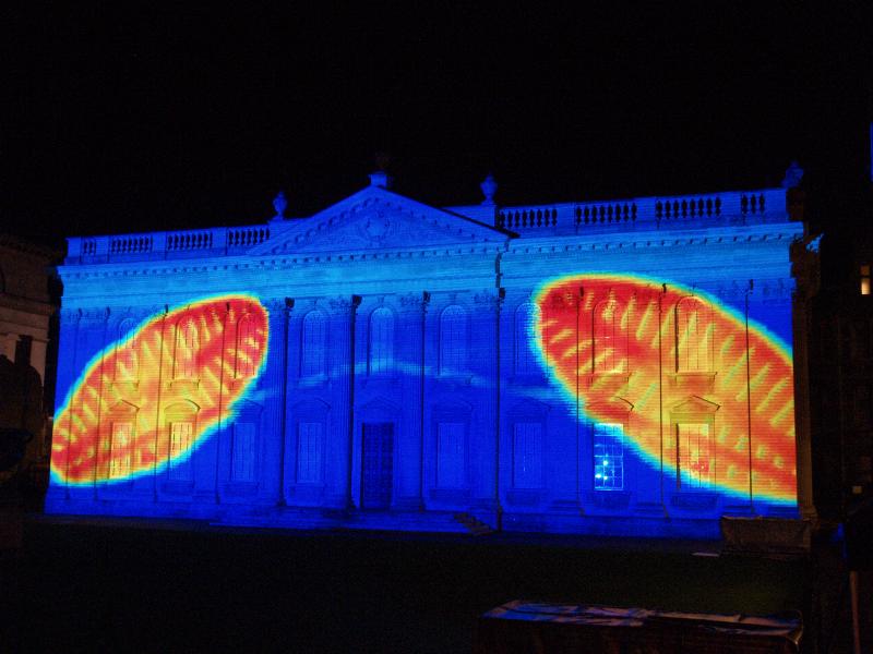 Cambridge, England: Senate House: light show: two micro-organisms (Cambridge University 800th anniversary light show, officially 17-19 January 2009, light artist Ross Ashton)