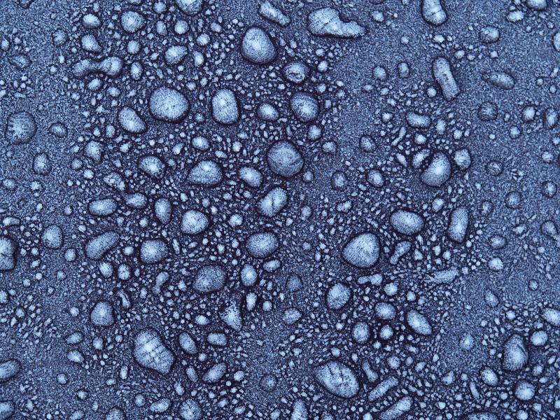 Cambridge, England: Roseford Road: frozen water drops