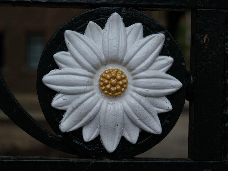 Cambridge, England: St John's College: gate flower decoration (1939)