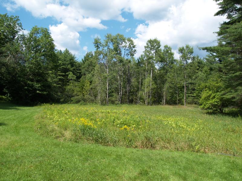 Plainfield, Massachusetts (MA): Lincoln Hill (Lincoln Street): field and trees
