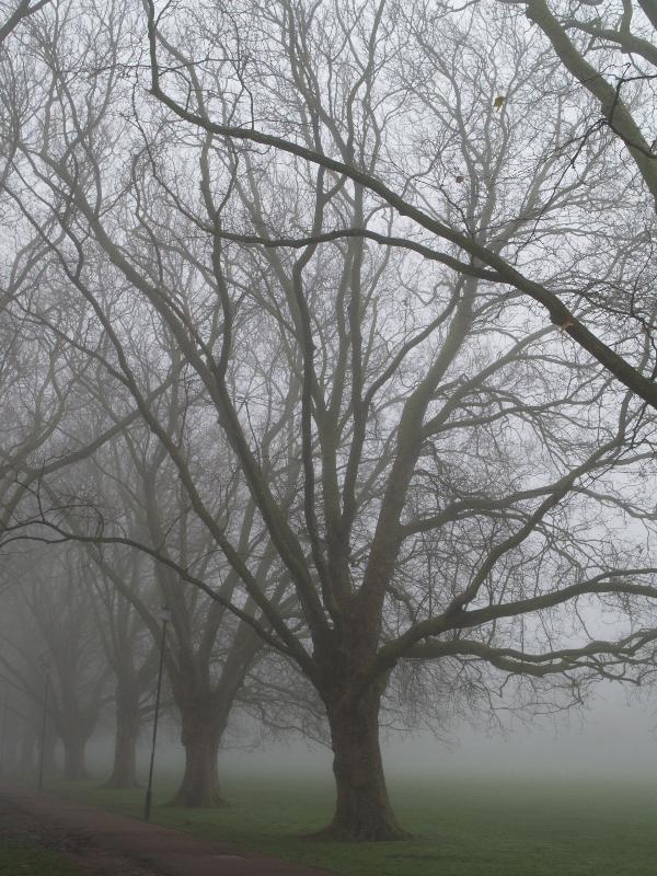Cambridge, England: Jesus Green: in fog