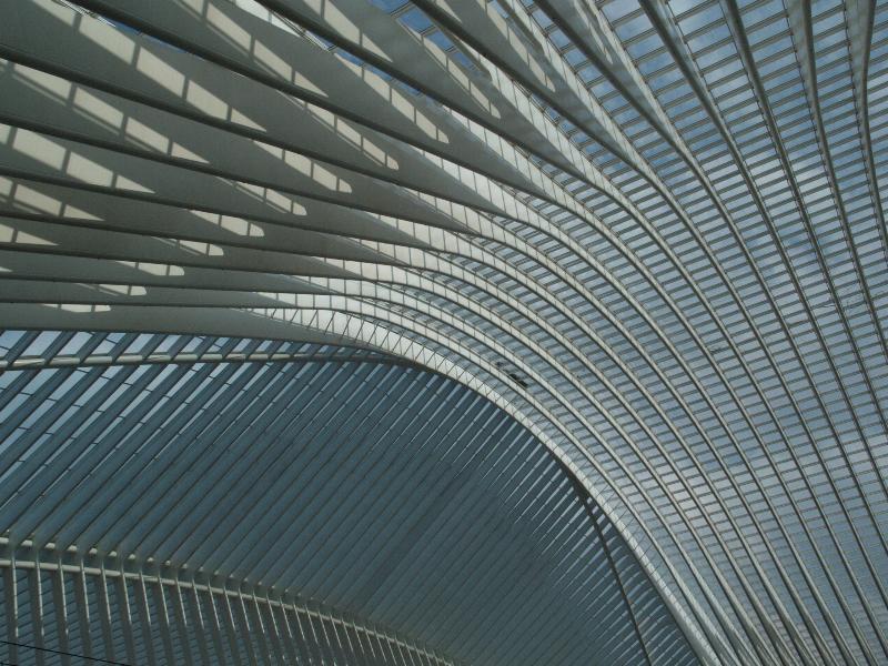 Liege, Belgium: Gare de Liege-Guillemins: roof (1997-2009, architect Santiago Calatrava)