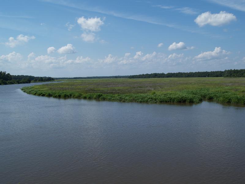 Charleston, South Carolina (SC): Middleton Place: view of Ashley River