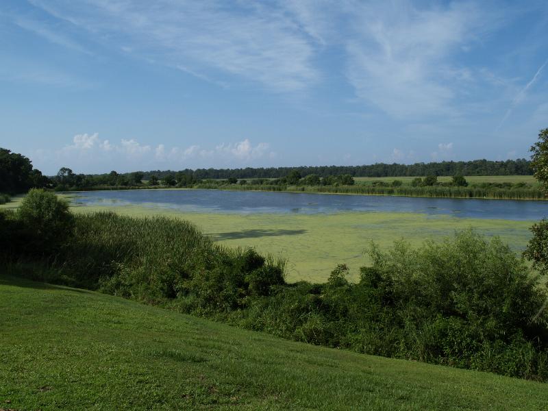 Charleston, South Carolina (SC): Middleton Place: old rice pond