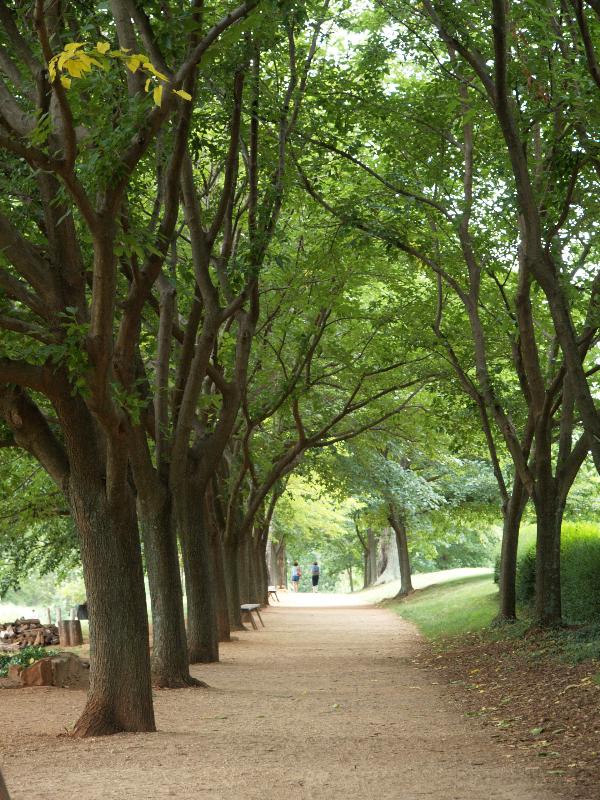 Charlottesville, Virginia (VA): Monticello: Mulberry Row