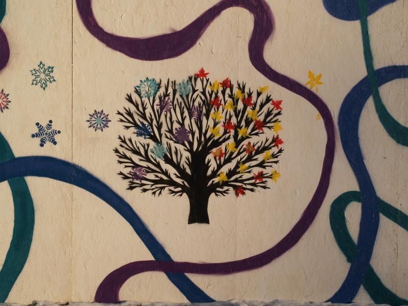 Cambridge, England: Parker's Piece, Cambridge on Ice: tree (Sadie Few, Adam Arthur Webb, Sopie Washbourne)