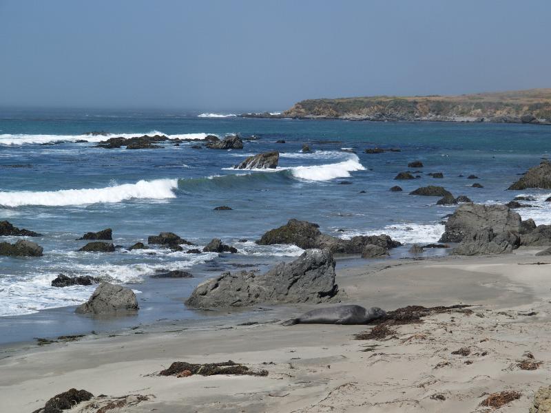 Highway 1, California (CA): seashore: view (with elephant seal sleeping on beach)