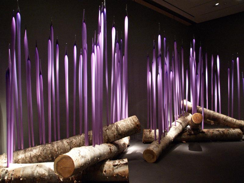 Boston, Massachusetts (MA): Museum of Fine Arts: Neodymium Reeds on Logs (2011, Dale Chihuly)
